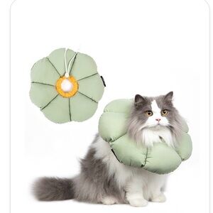 Cat cone collar
